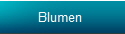 Blumen 