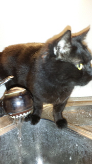 Momo 20160702_194703 (8)