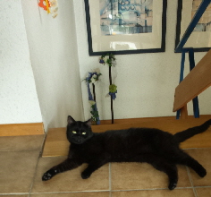 Momo 20160705_092220