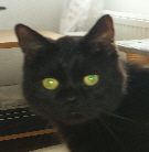 Momo 20160710_091208