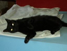 Filou 20160703_183209 (22)