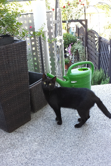 Filou 20160719_095657