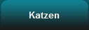 Katzen