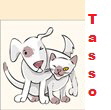 Tasso