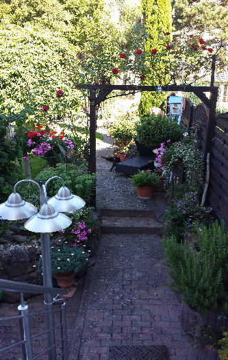 Garten 20160719_094549